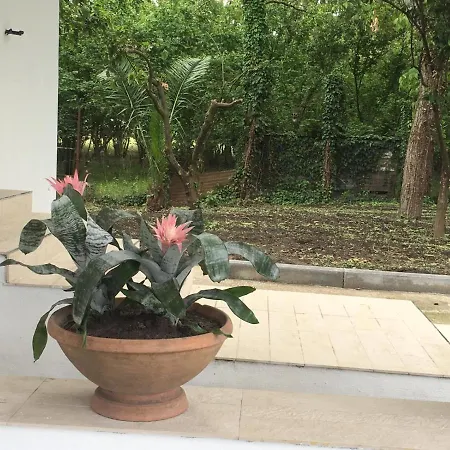 La Scisciano